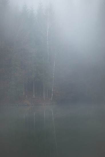 Regeneration III
